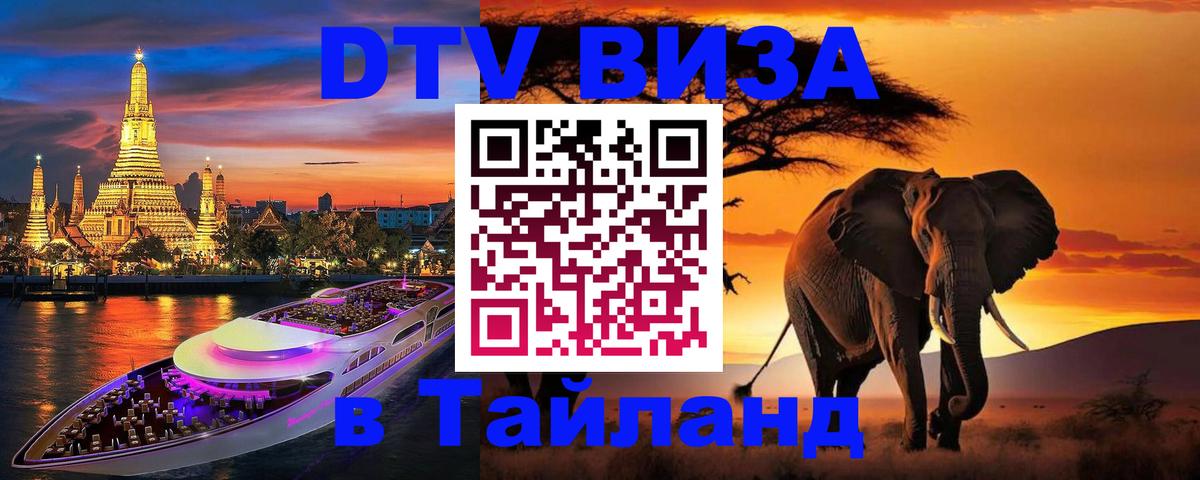 Сколько стоит DTV виза — актуальные цены, оформление даже без документов - Багдад  05.12.2025 